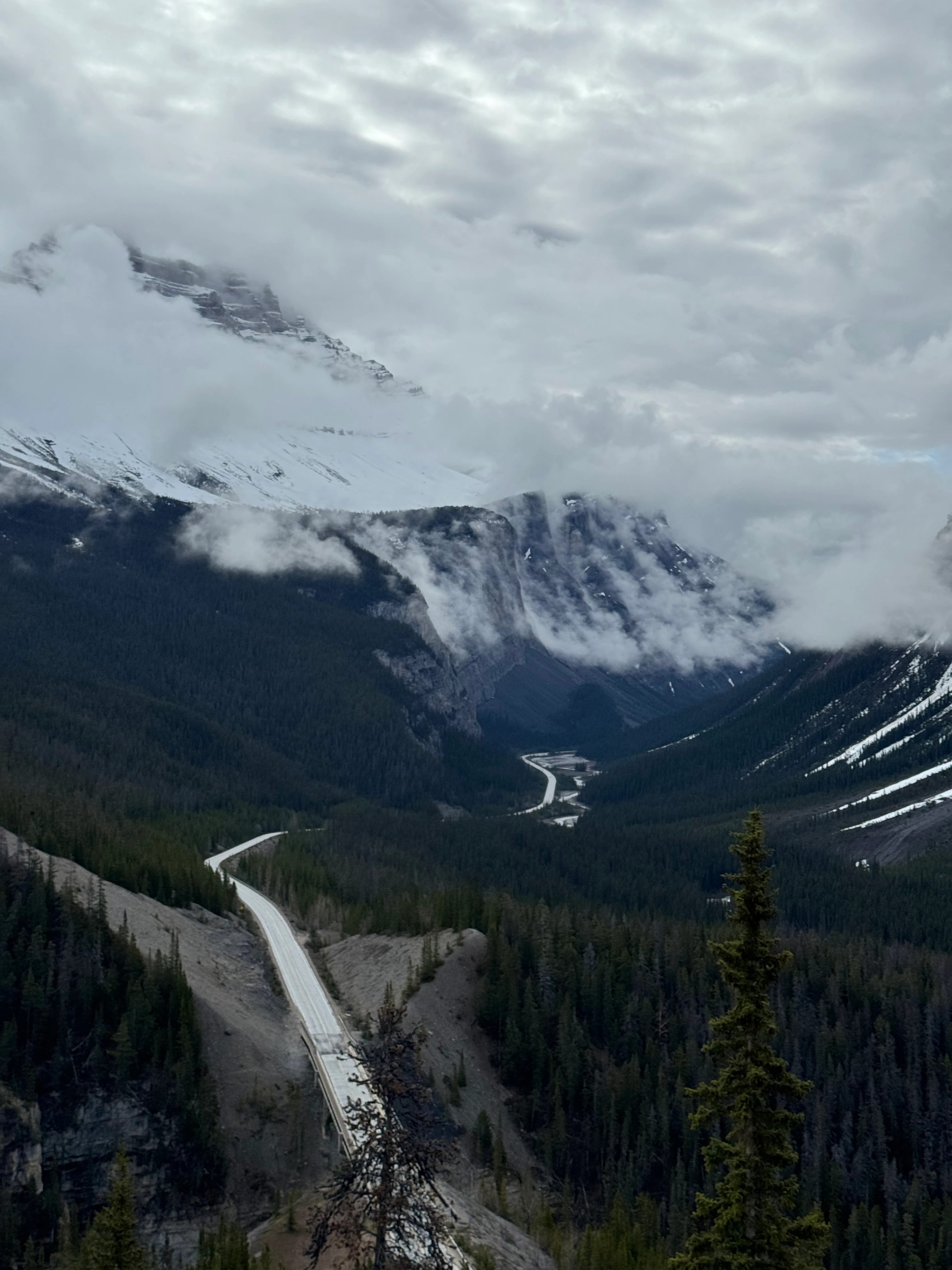 View from Icefields Parkway viewpoint with clean road and snowcapped peaks in clouds
