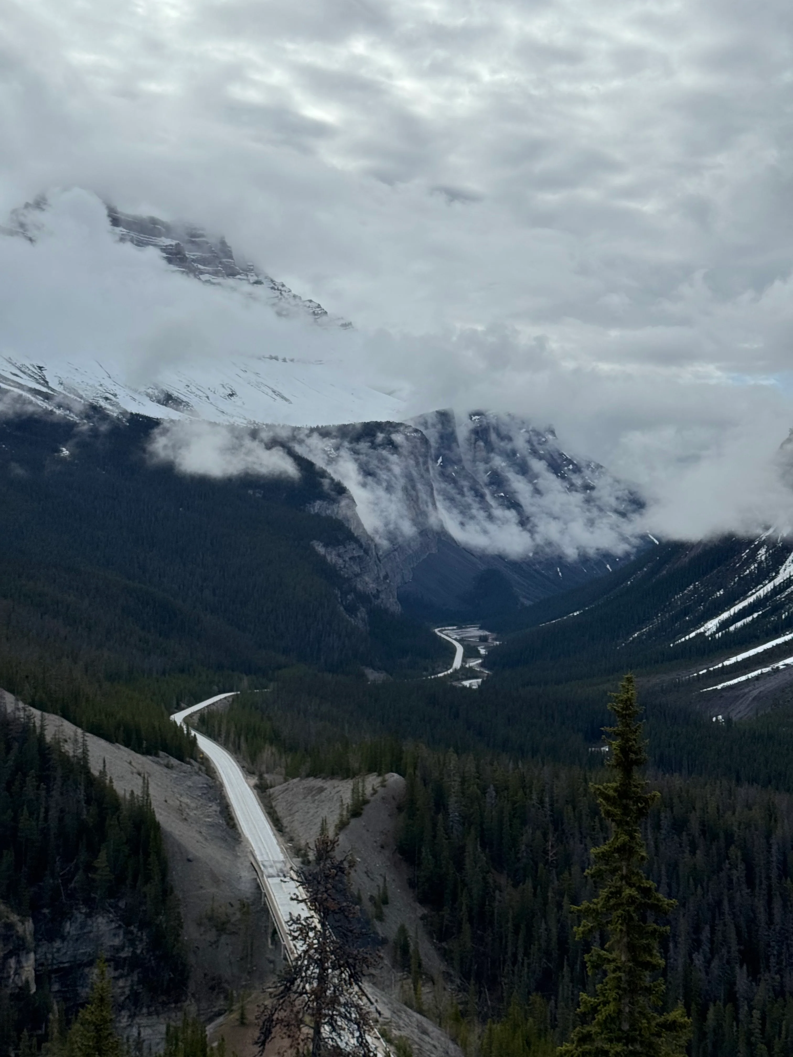 View from Icefields Parkway viewpoint with clean road and snowcapped peaks in clouds