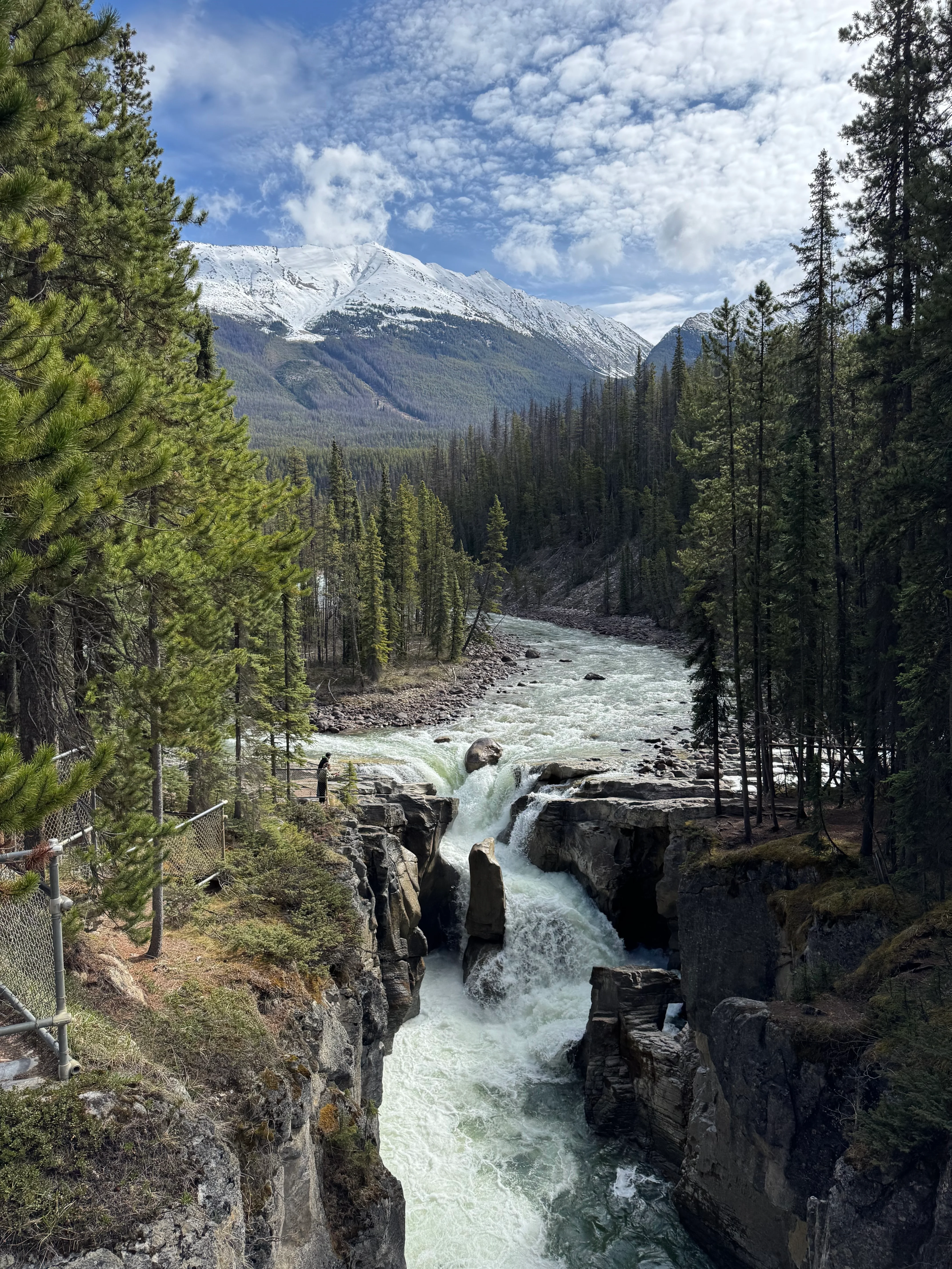Upper Sunwapta Falls from the bridge with snowcapped peaks
