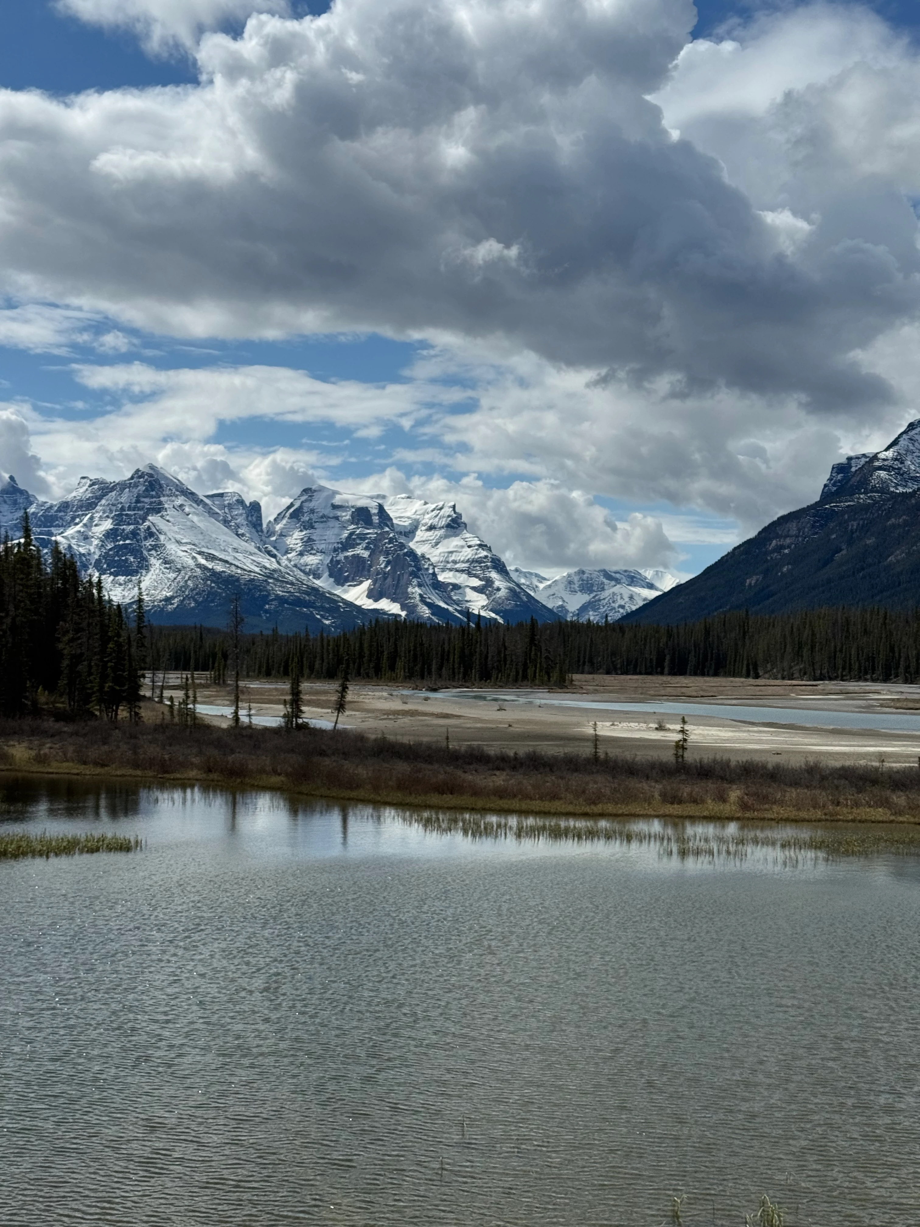 Mountain peaks from the Chaba-Athabasca floodplain