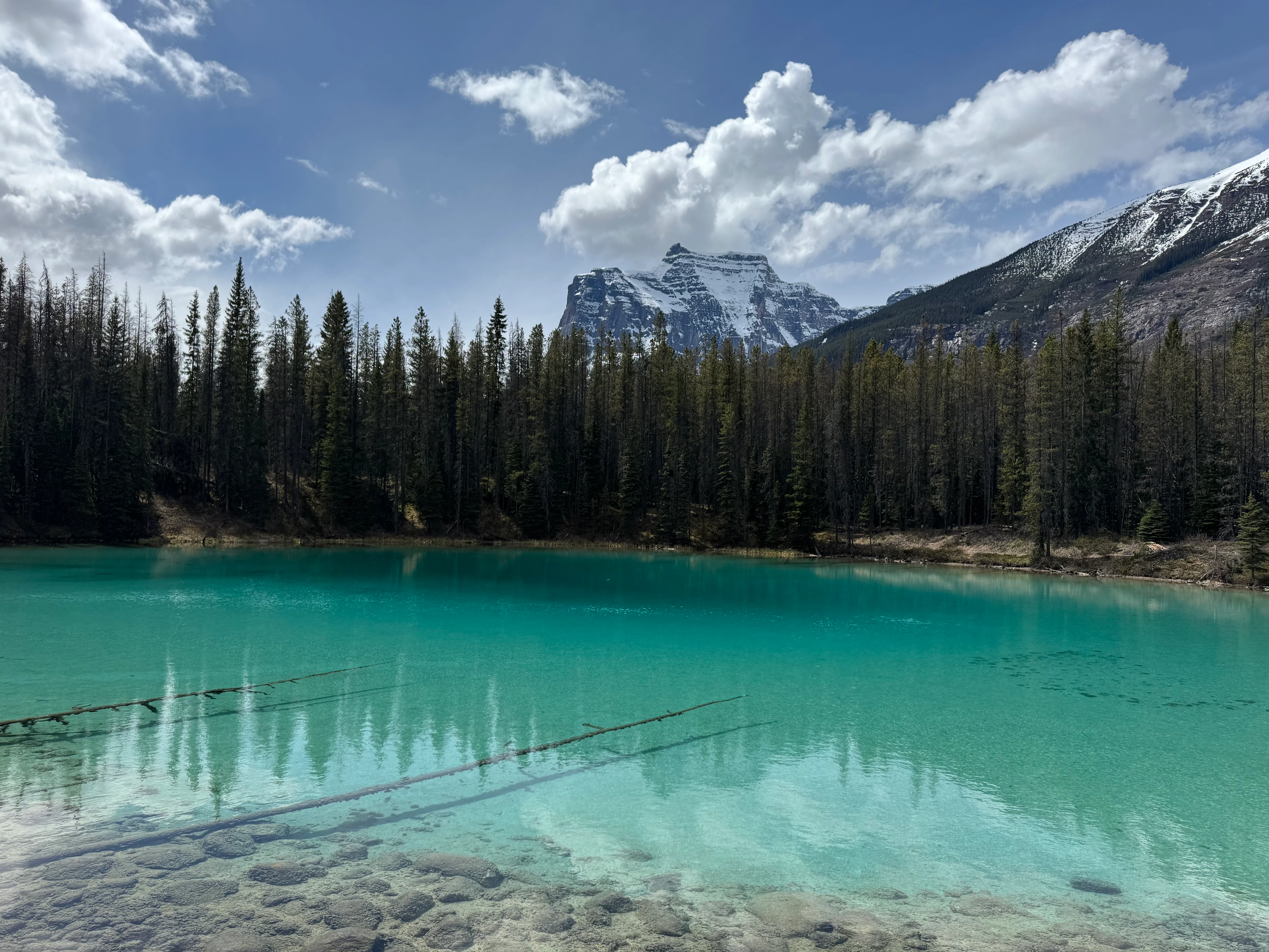 Small turquoise lagoon-like pool