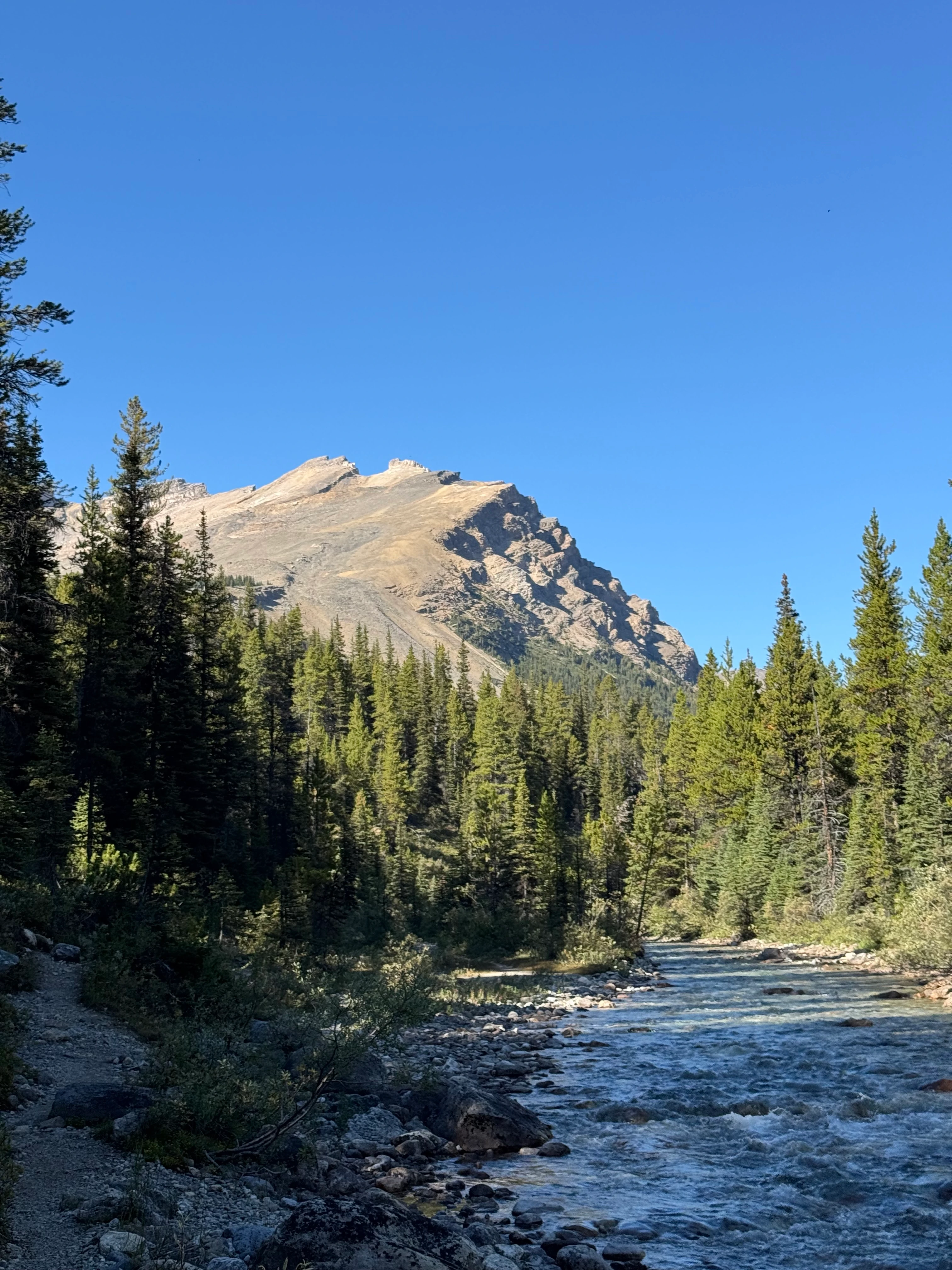 Trail following Mosquito Creek