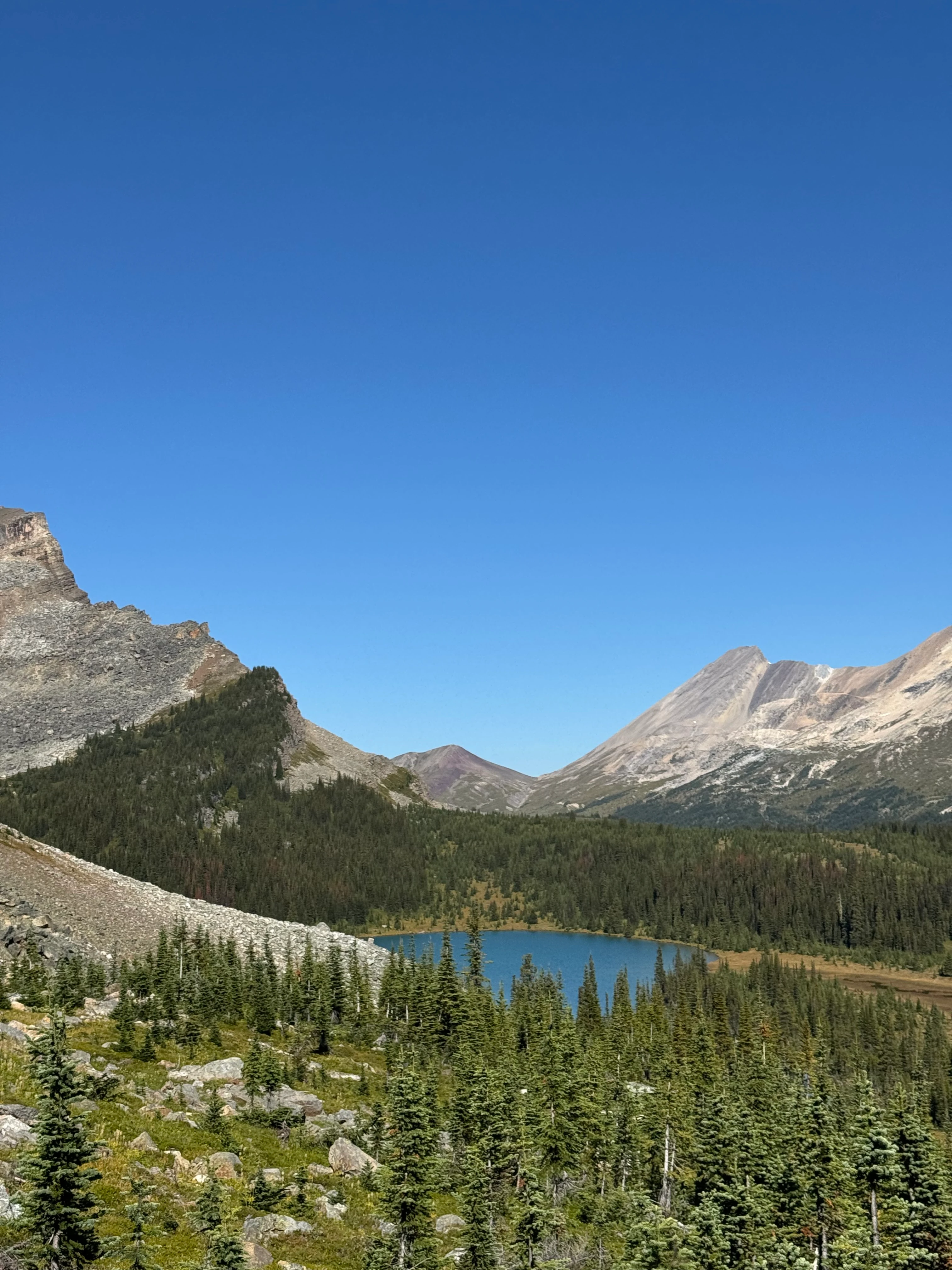 Moose Lake from above