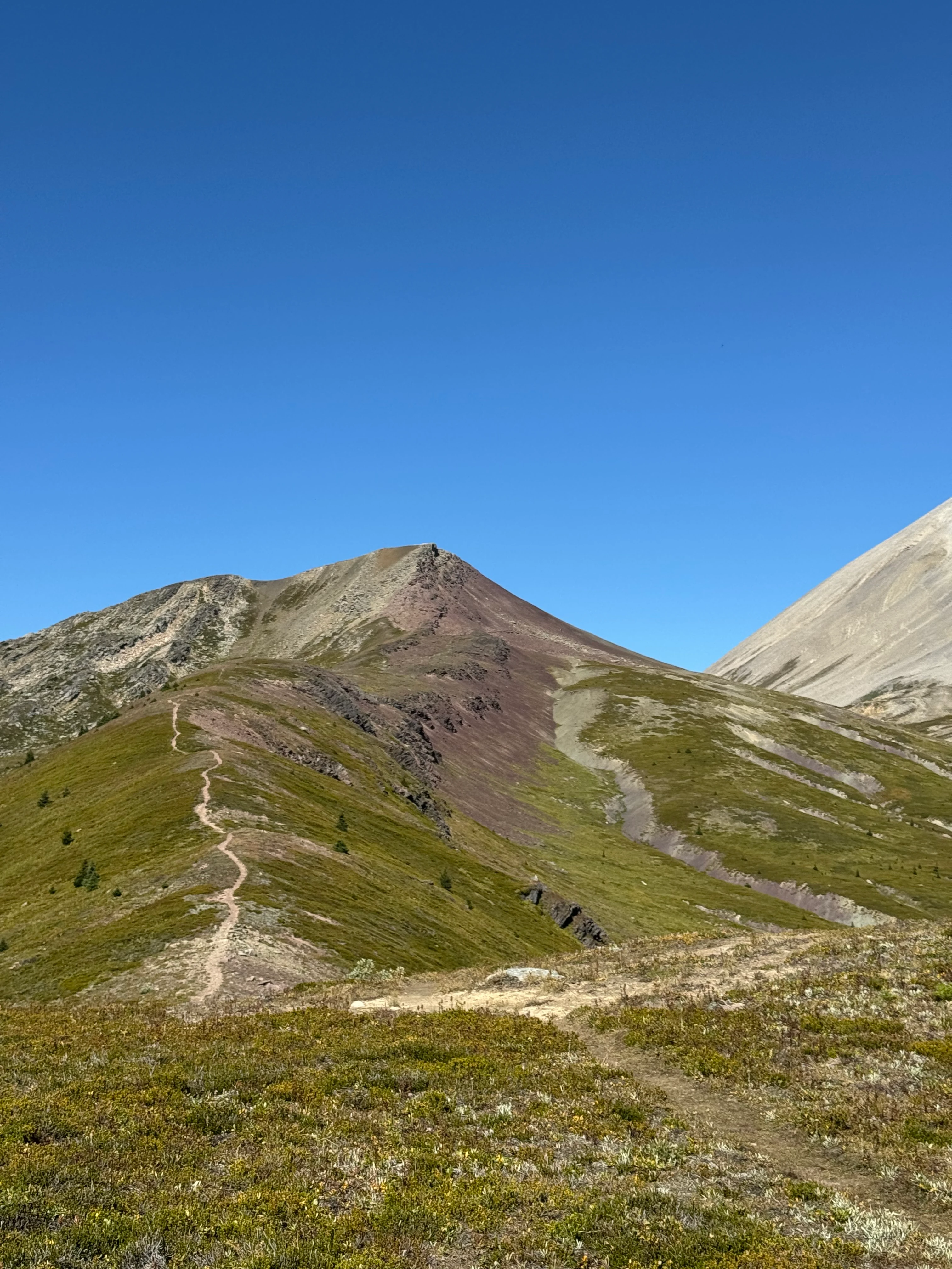 Ridge near Pipestone Pass