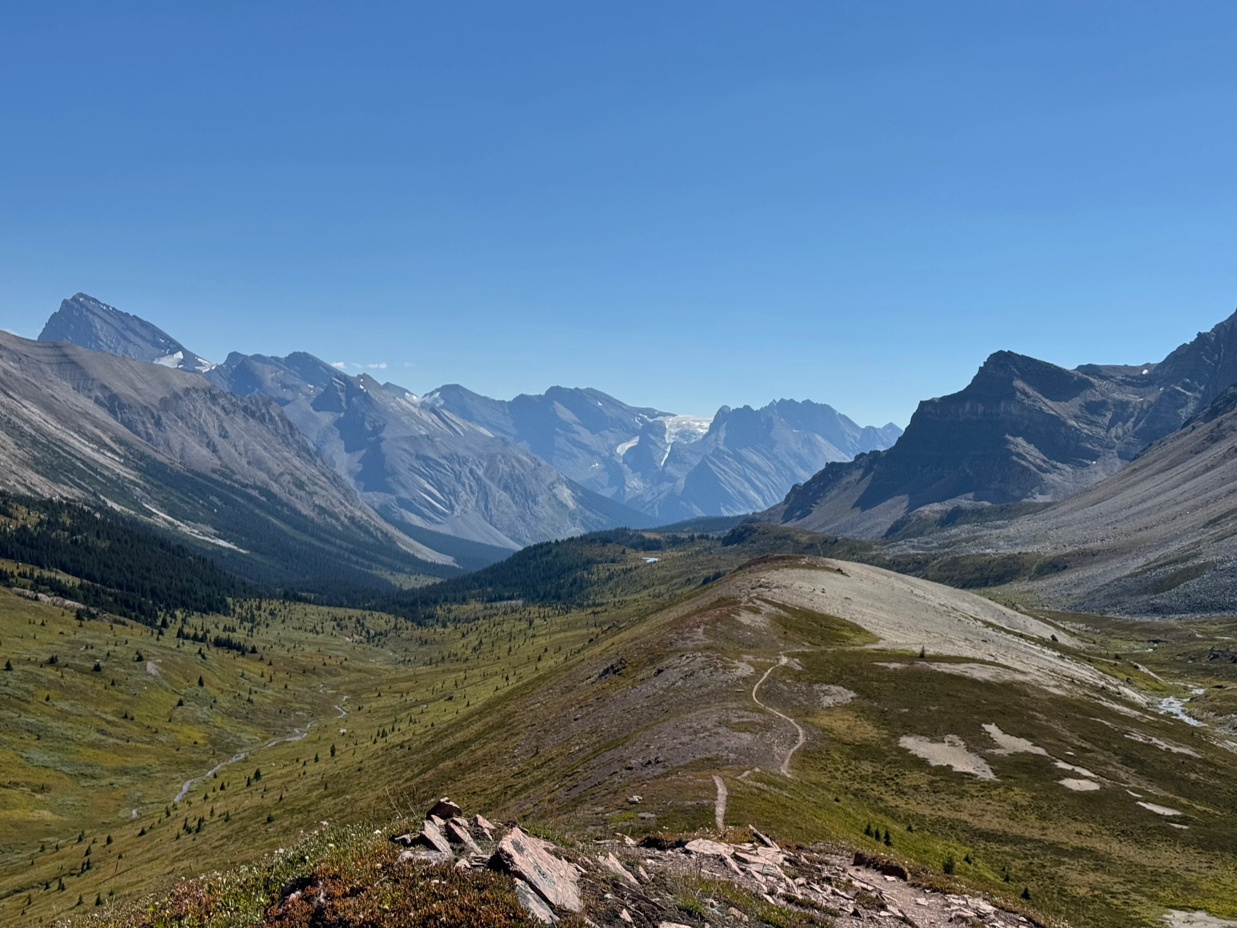 Looking back from Pipestone Pass