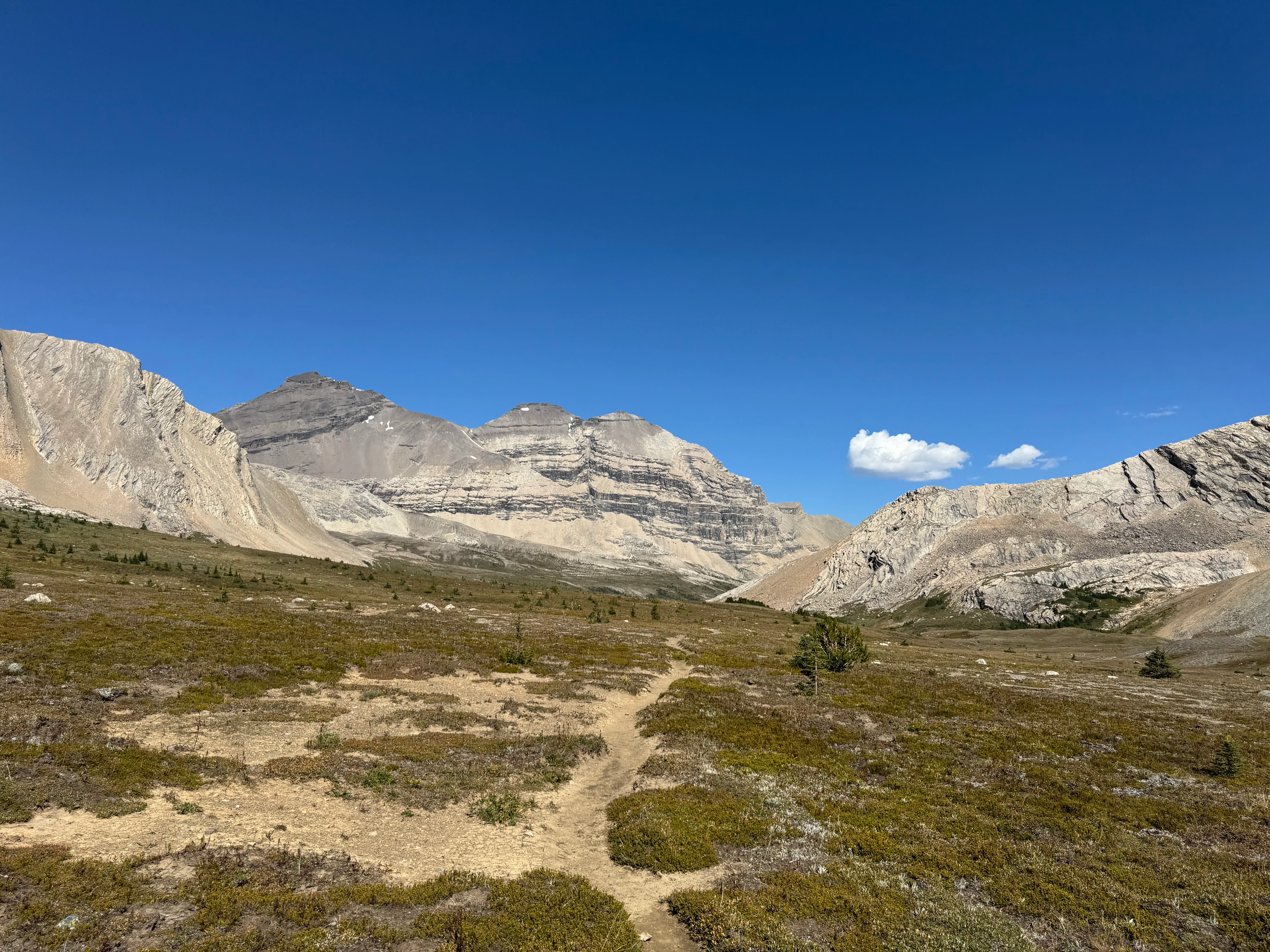 Mount Willingdon and Crown Peak