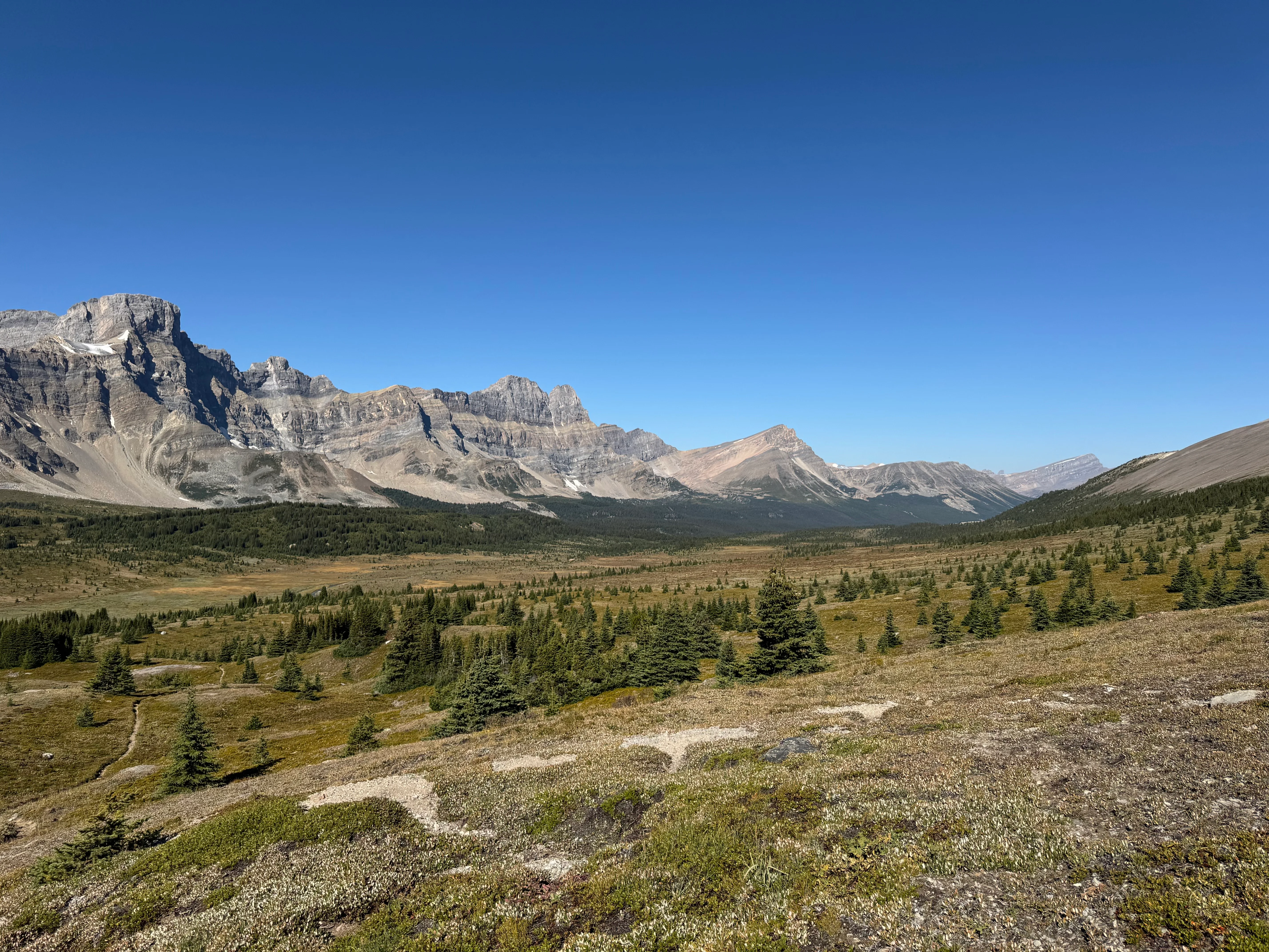 Trail junction turning toward Siffleur Wilderness