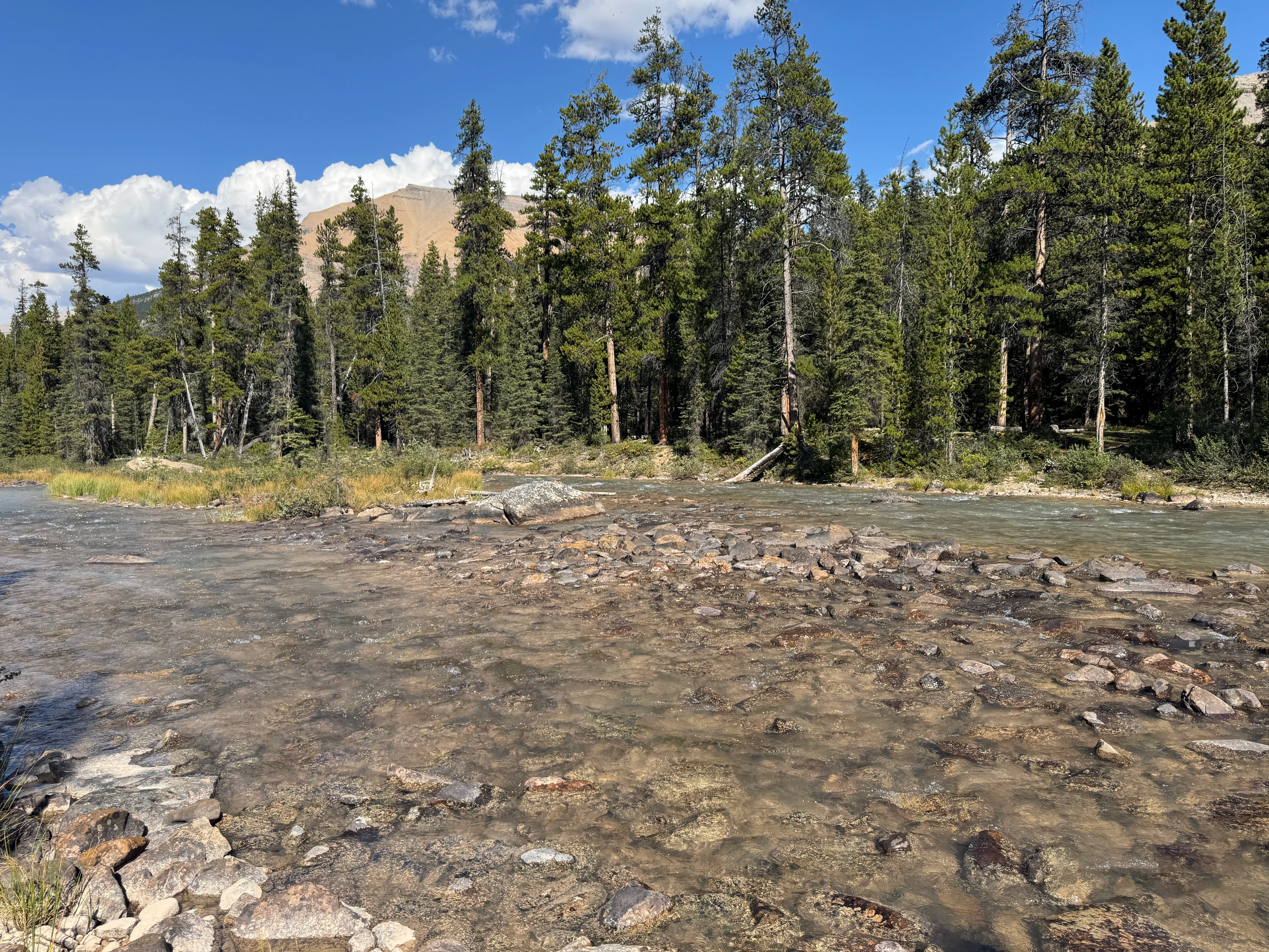 Fast-flowing Dolomite Creek crossing with rocks