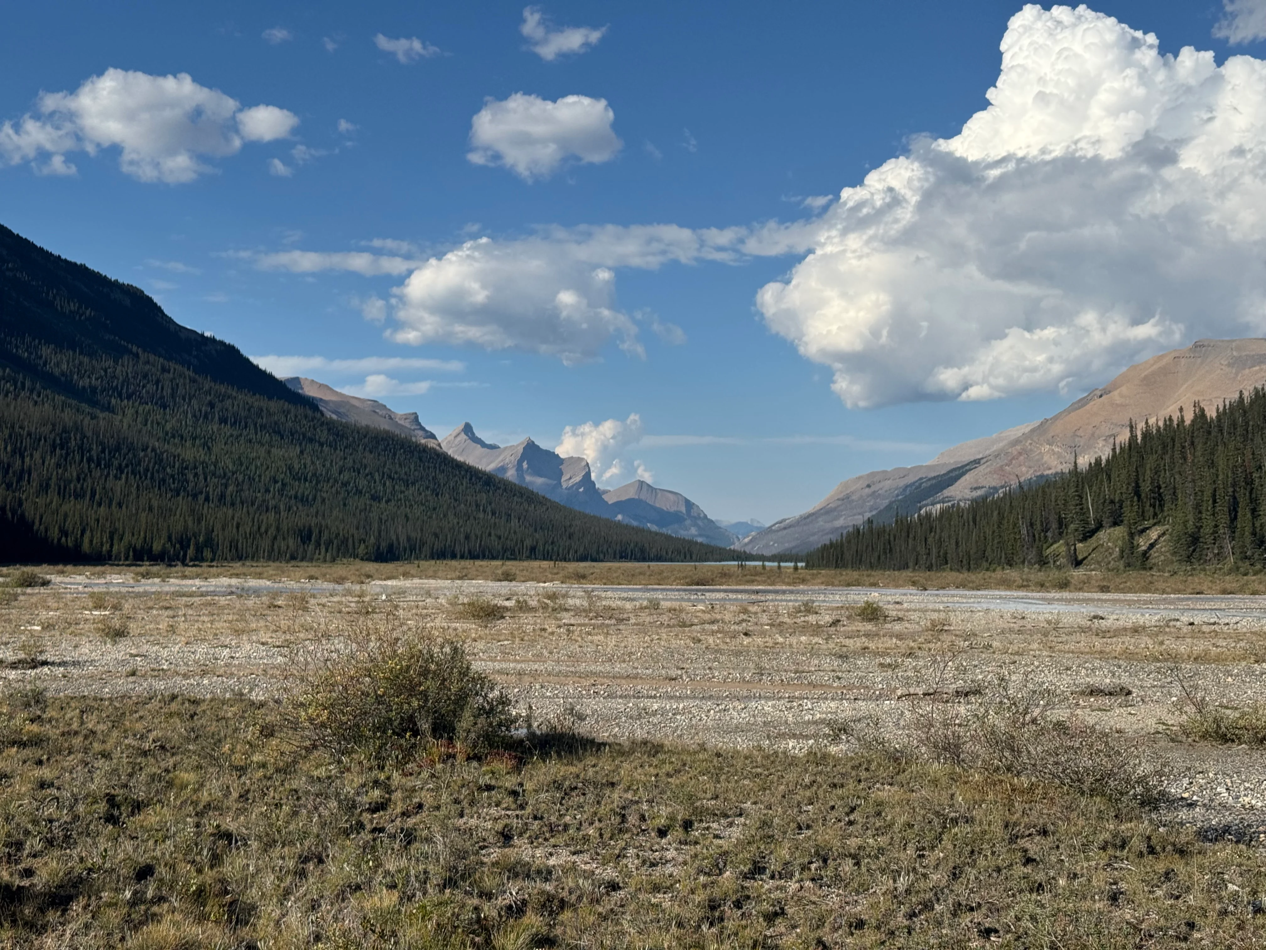 View looking back at Dolomite Creek valley