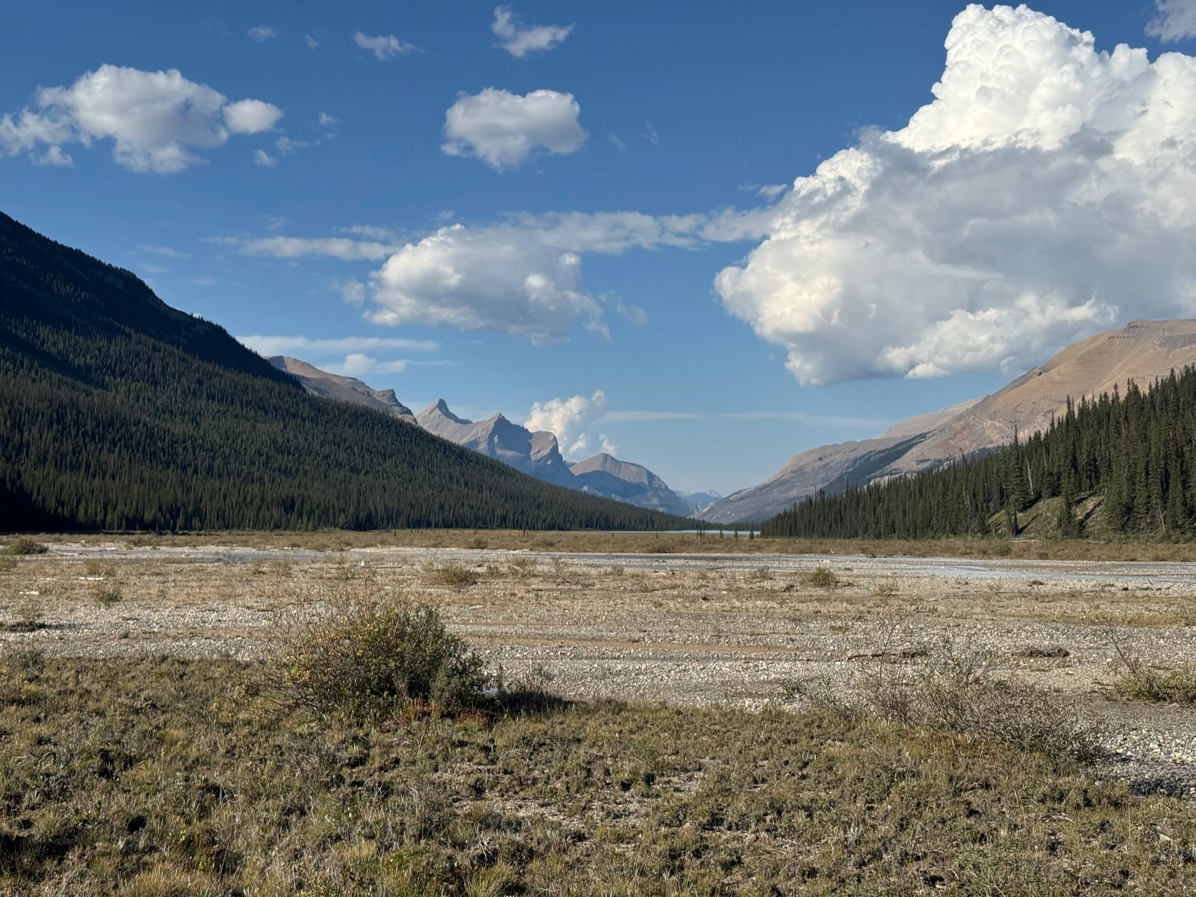 View looking back at Dolomite Creek valley