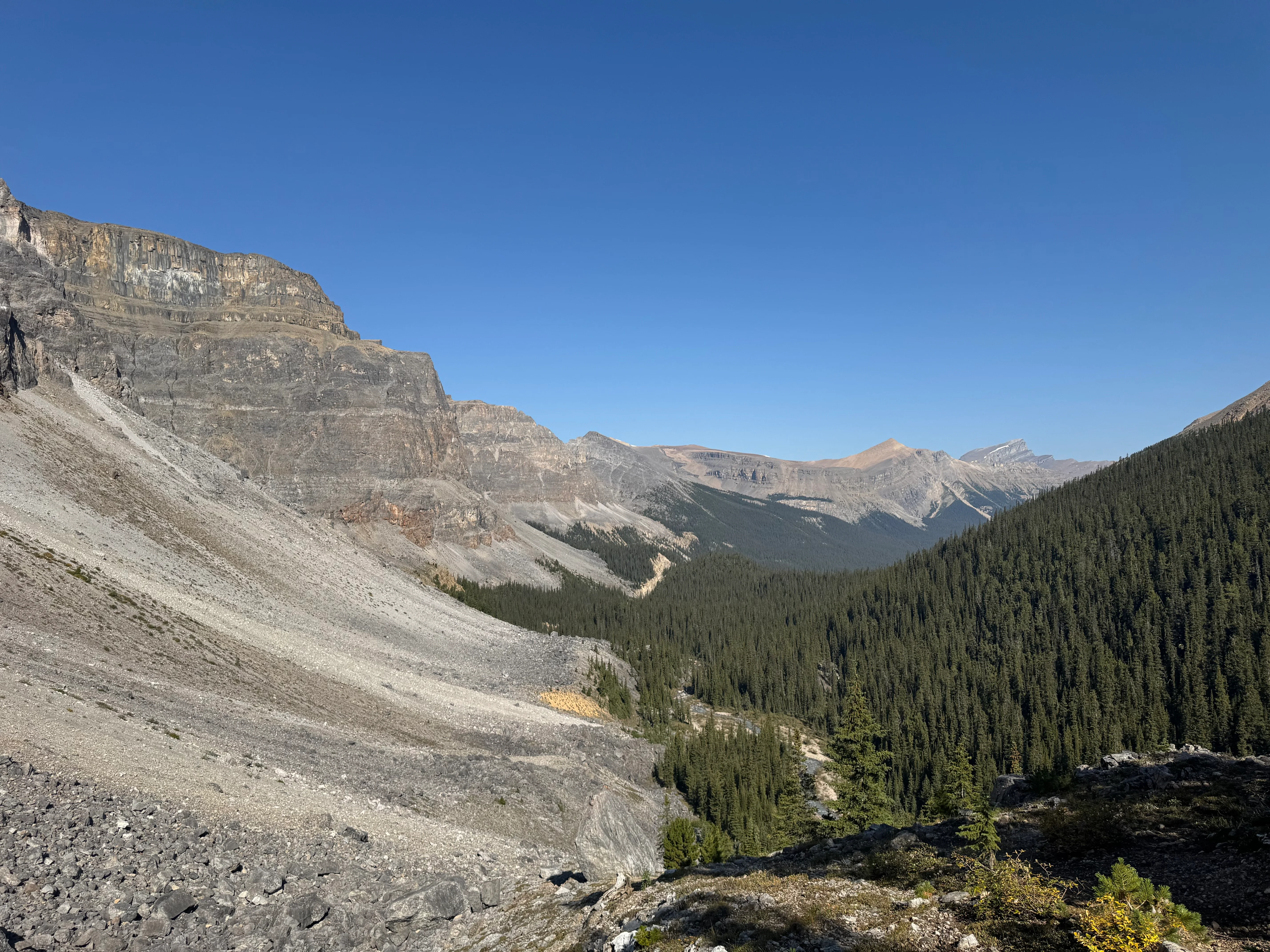 Looking back at Dolomite Creek valley from above