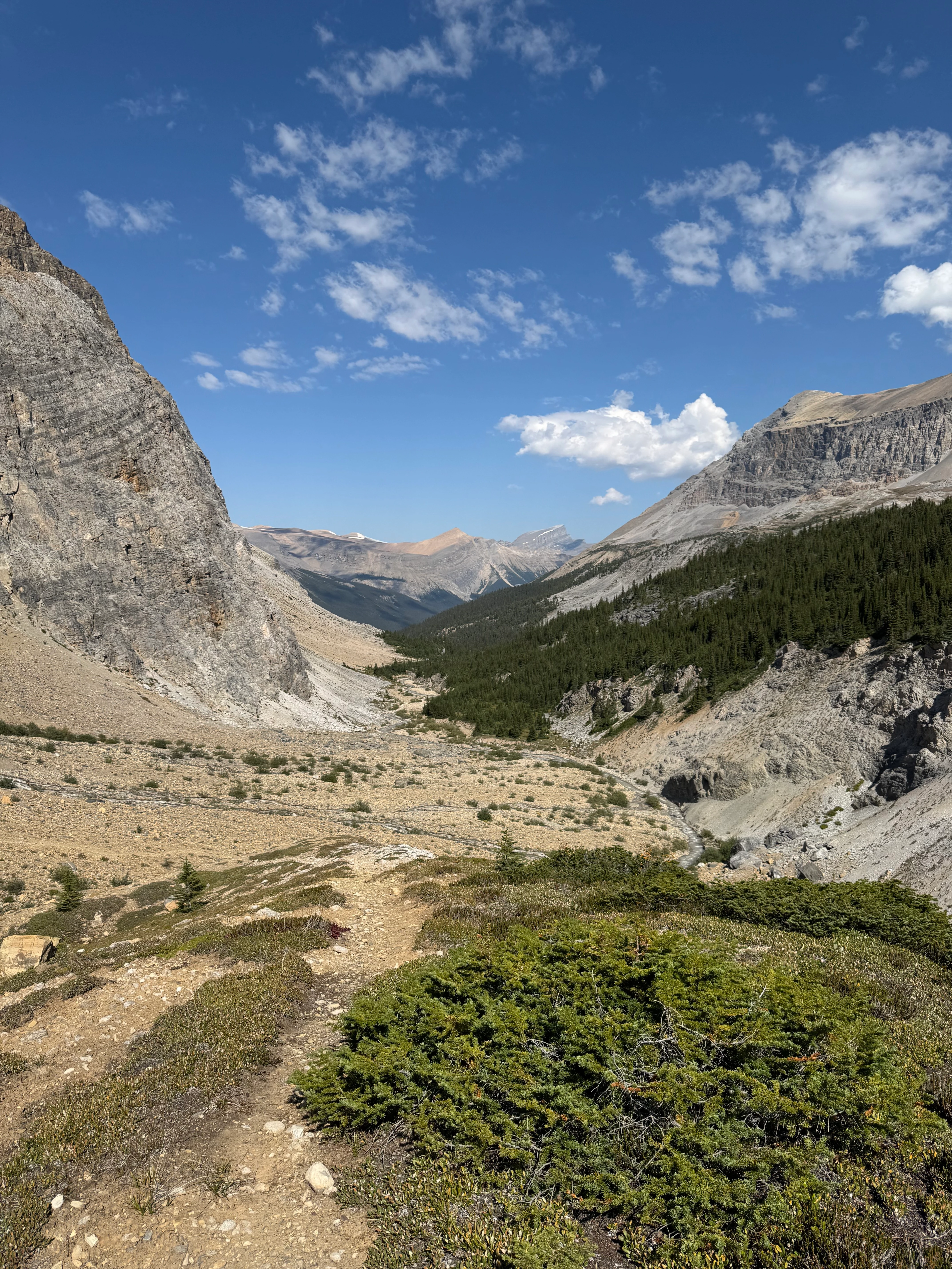 Dolomite Creek valley view from above