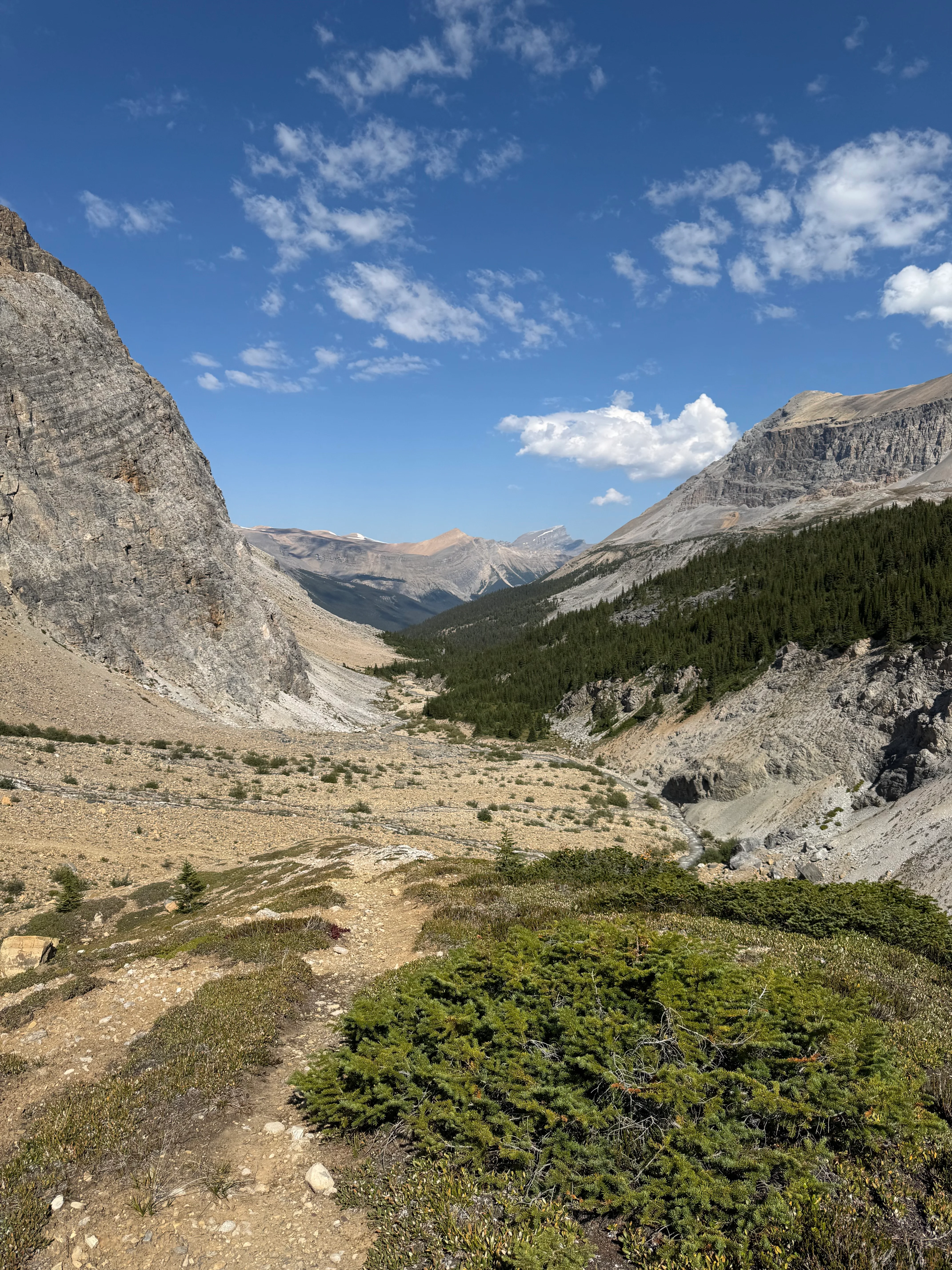 Dolomite Creek valley view from above